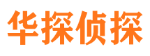 龙马潭找人公司